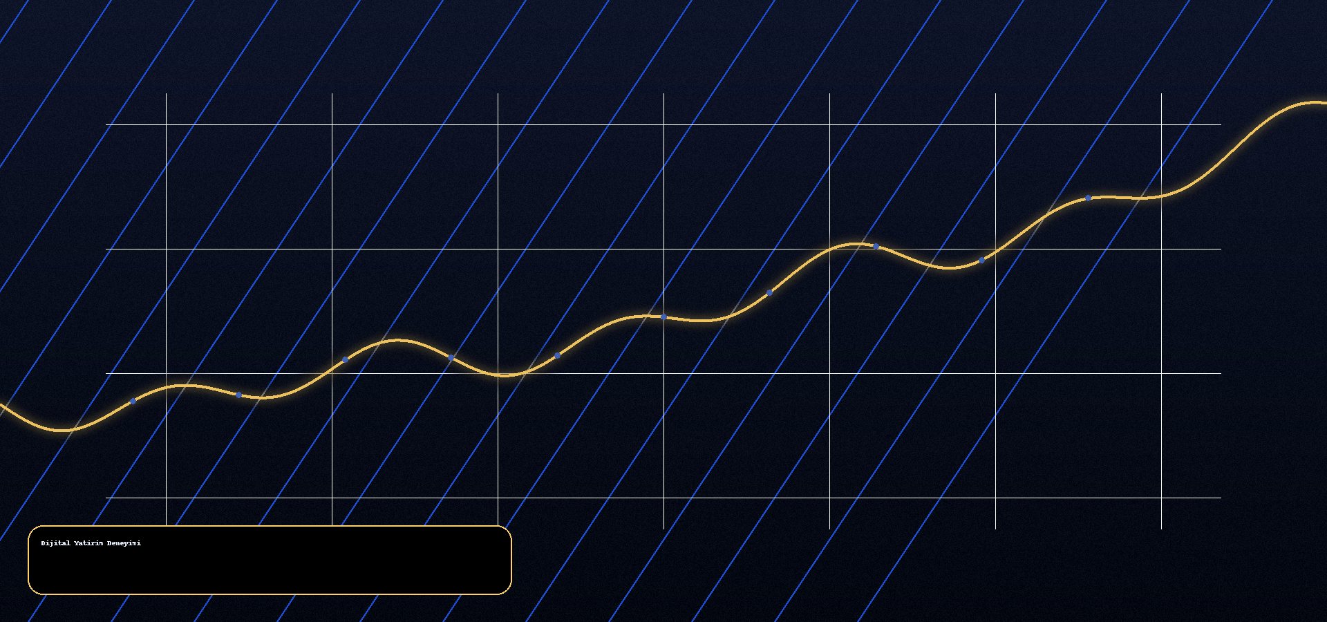 Yatirim platformu gorunumu